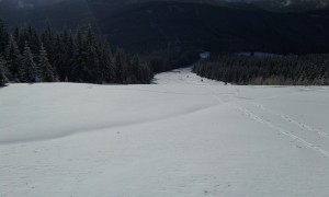 20151212_114636
