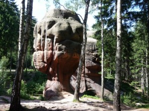 tohle jsme potkali v závěru trati