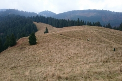 prechod-velke-fatry-2018-022