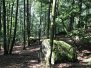 Prostor závodů ŽB Čechy - západ, 7. - 8. 9. 2019, Krhanice a Kamenice